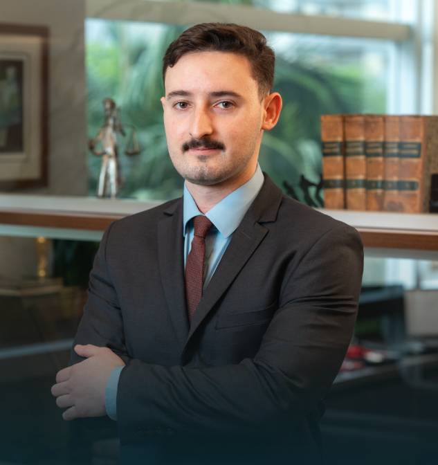 Guilherme Santos Neves Abelha Rodrigues